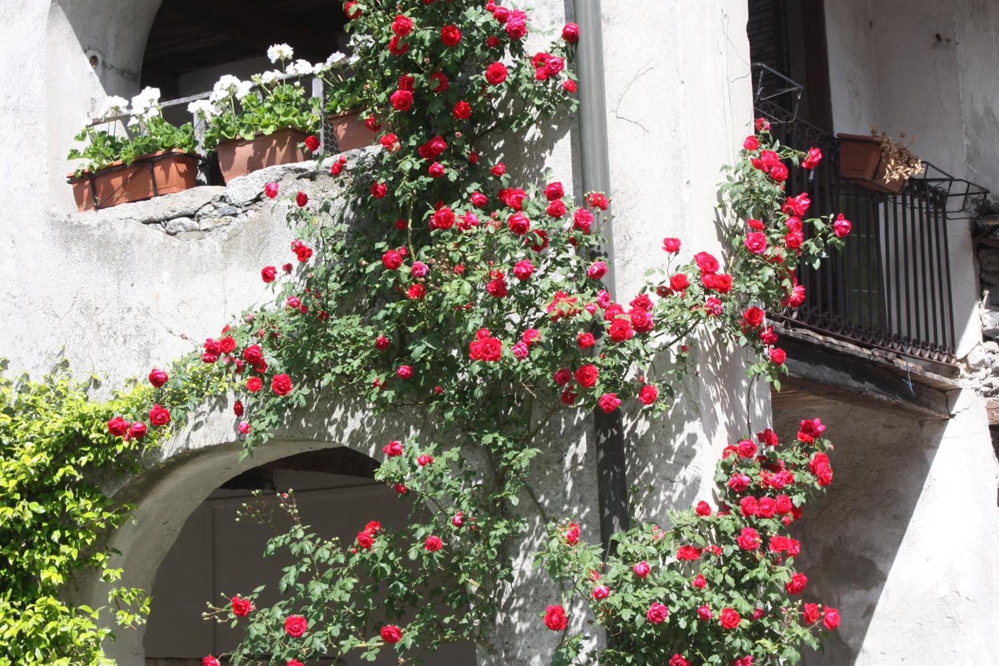 bnb casa Archi Лозон Екстериор снимка
